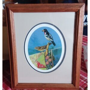 Birds on a Quilt Clothesline Print 530/2500 ARTIST PROOF Framed Signed